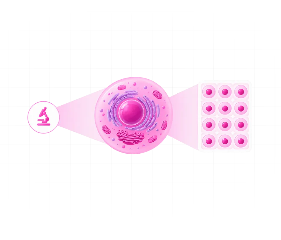 Step 2 — High-content cell painting and automated imaging