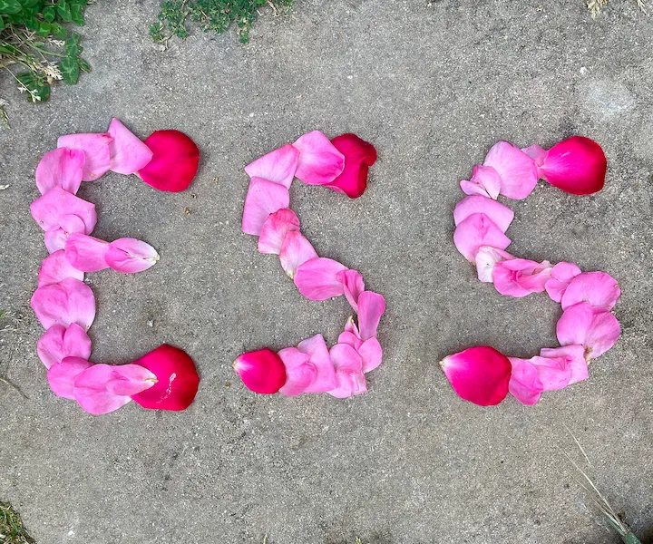 Des pétales de fleurs sur le sol qui forment le mot "ESS"