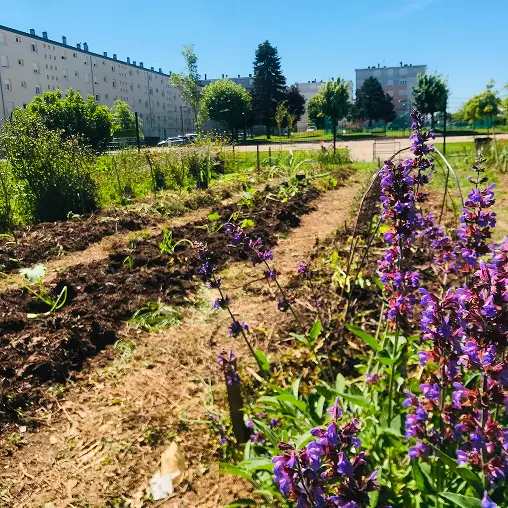 Un jardin collectif