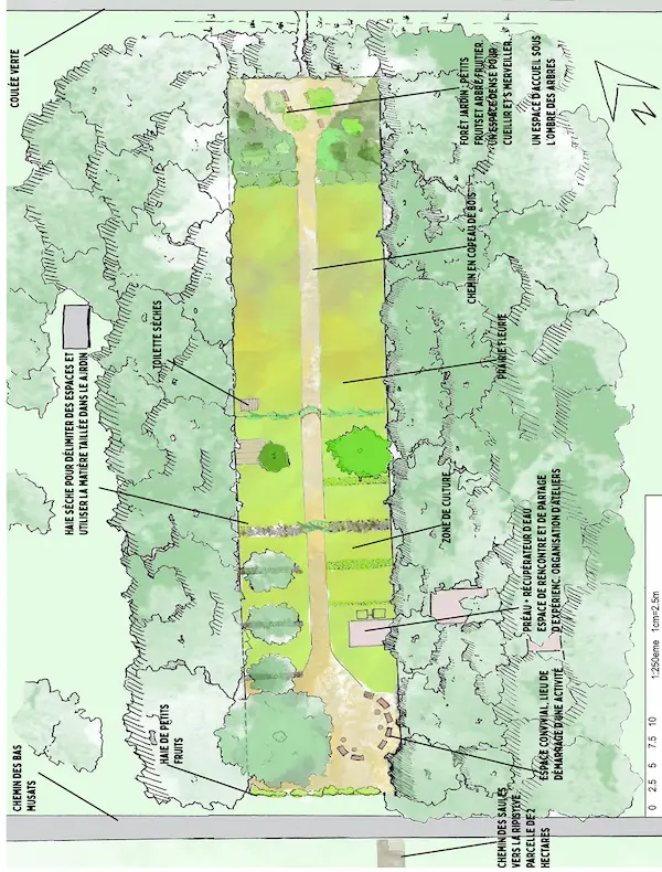 Conception d'un jardin : plan détaillé