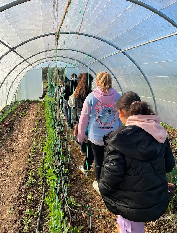 Un groupe dans une serre