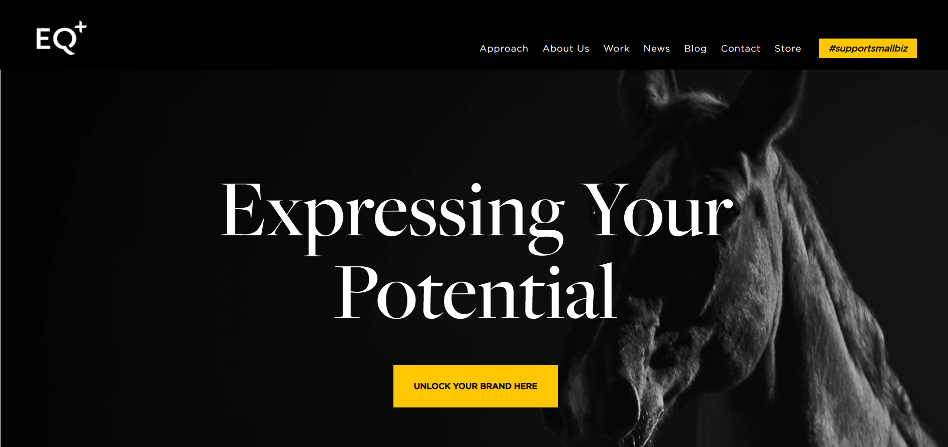 Equus Design Consultants