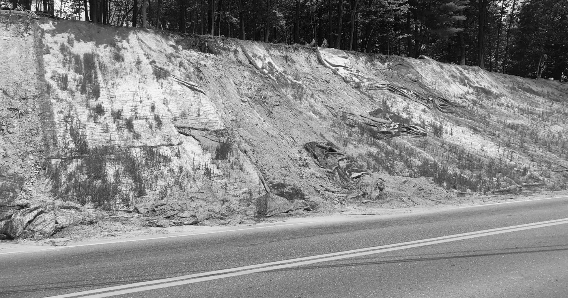 Roadside drainage slope protected with erosion-control mesh