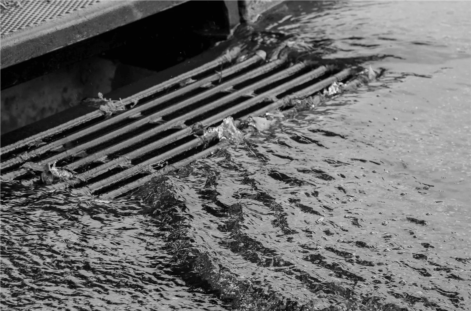 Concrete storm drain grate filtering runoff water on paved surface