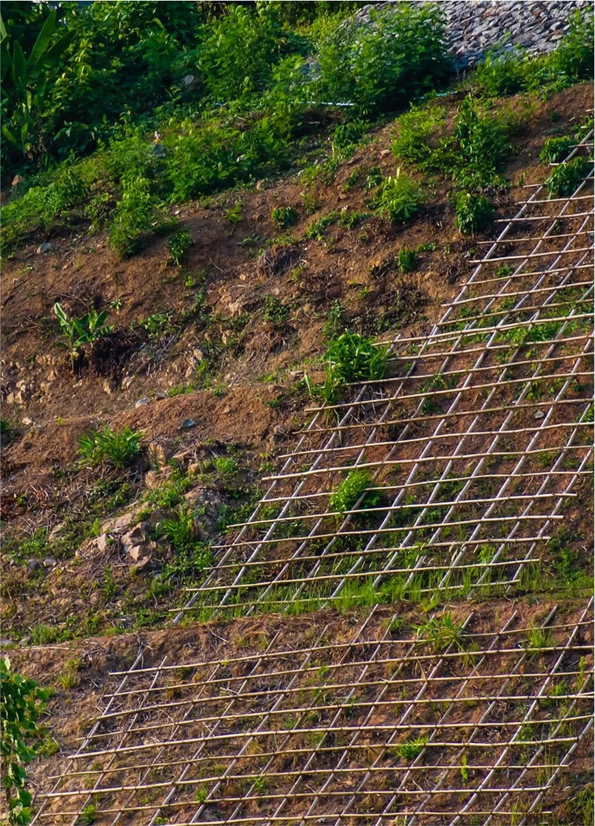 Vegetation-based erosion control with slope mesh installation