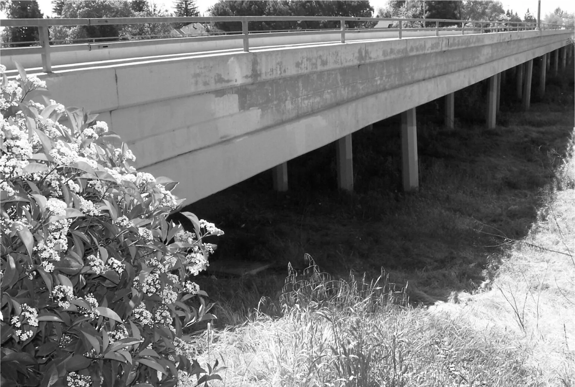 Bridge drainage system with runoff collection channel below deck