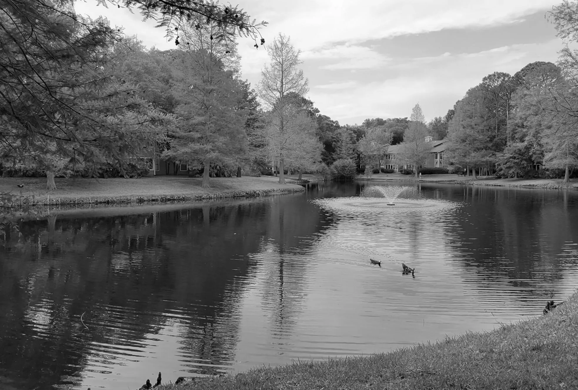 Wide panoramic view of a large retention pond with green embankments