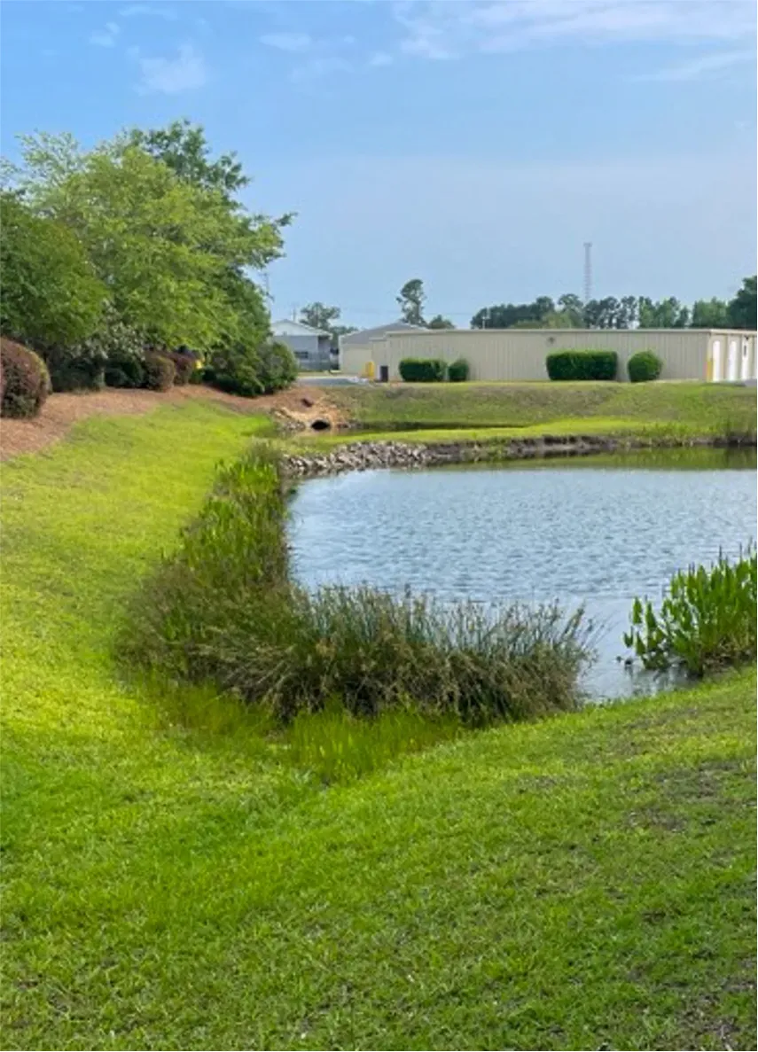 Grassy retention basin area designed for water collection