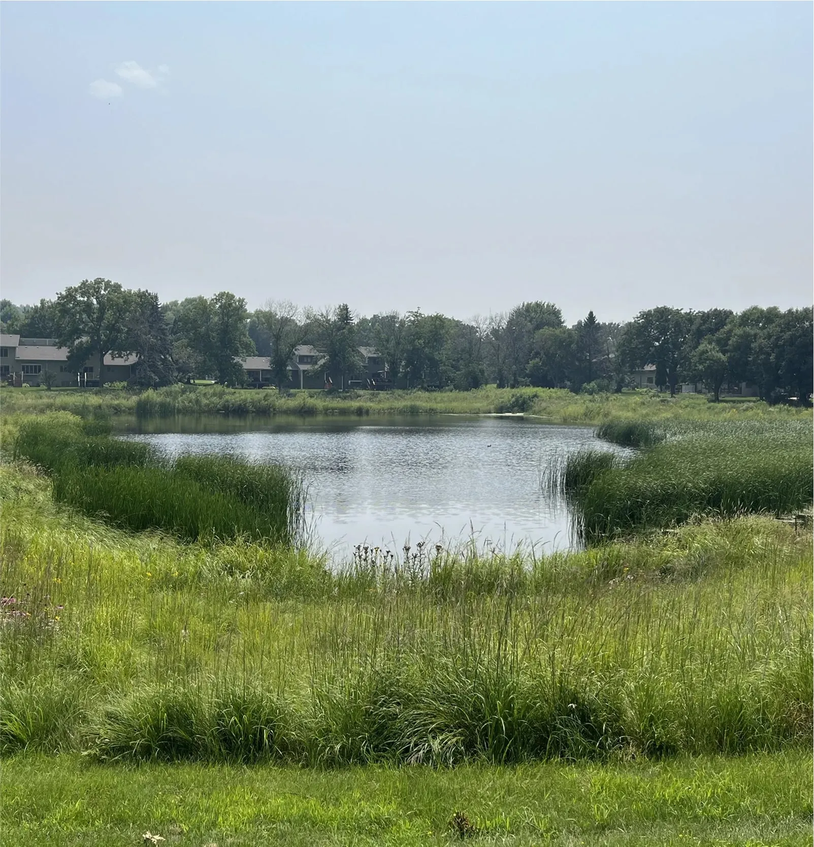 Retention pond surrounded by vegetation for stormwater control