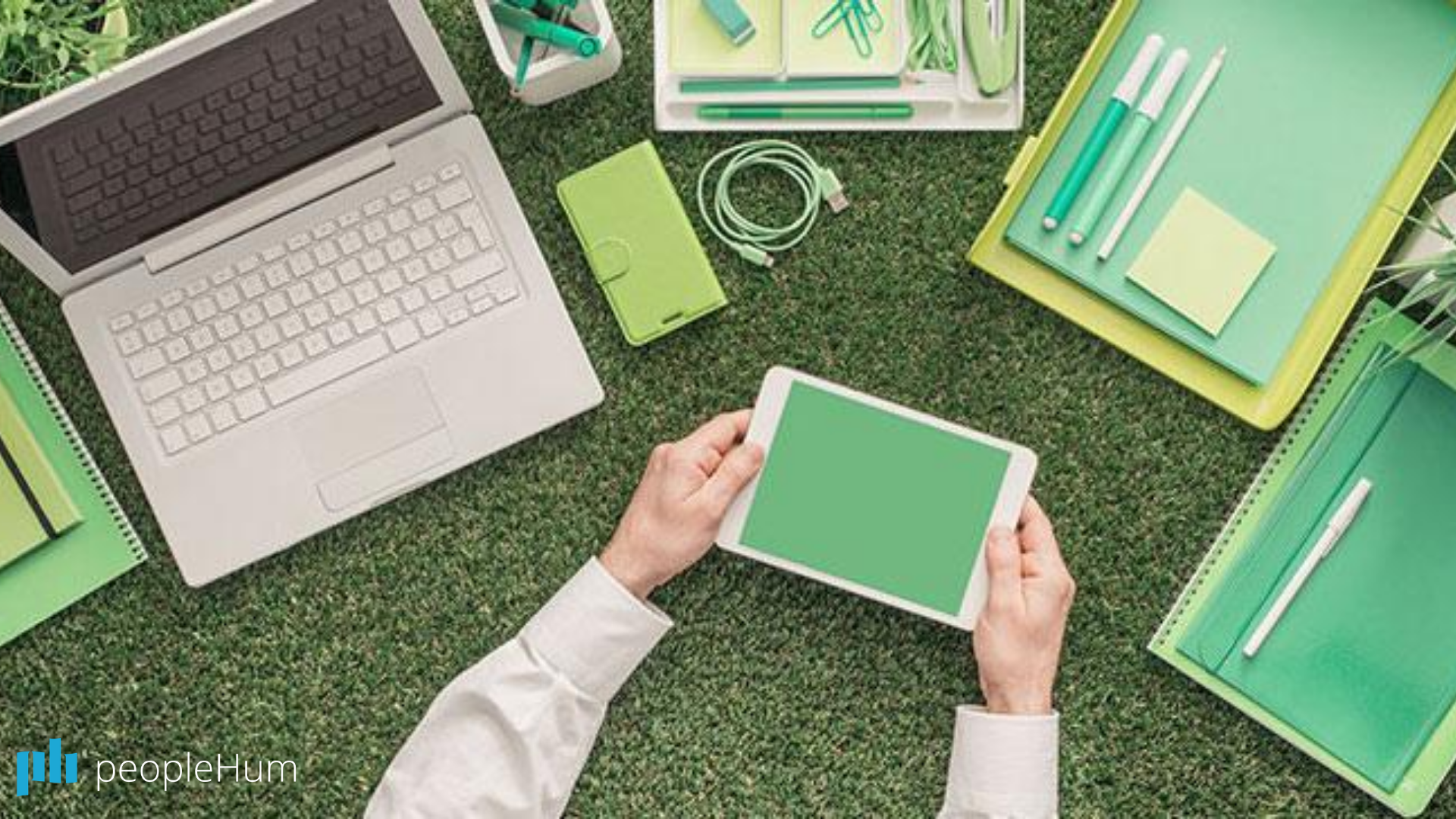 Plan eco-friendly events for your business