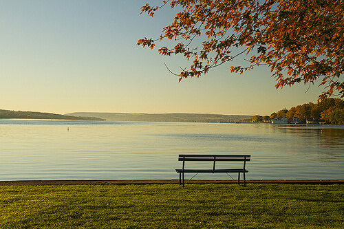 How self-discipline will make you a better leader | peopleHum