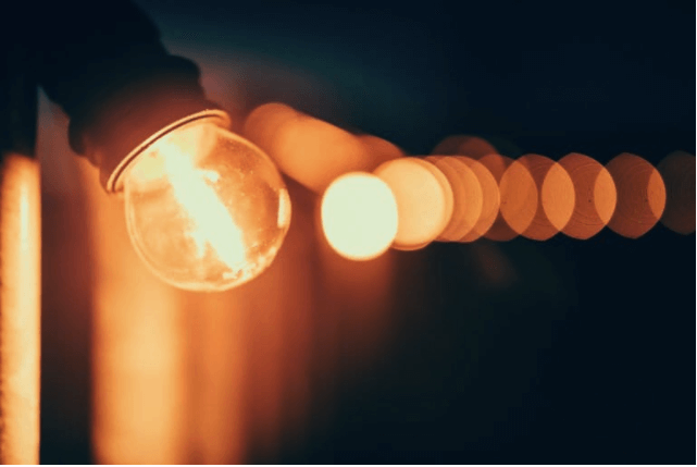 Curiosity: The inspiration for innovation, resilience, and sustainability | peopleHum