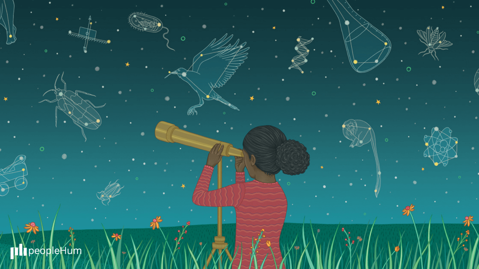 Where tomorrow’s innovators will come from