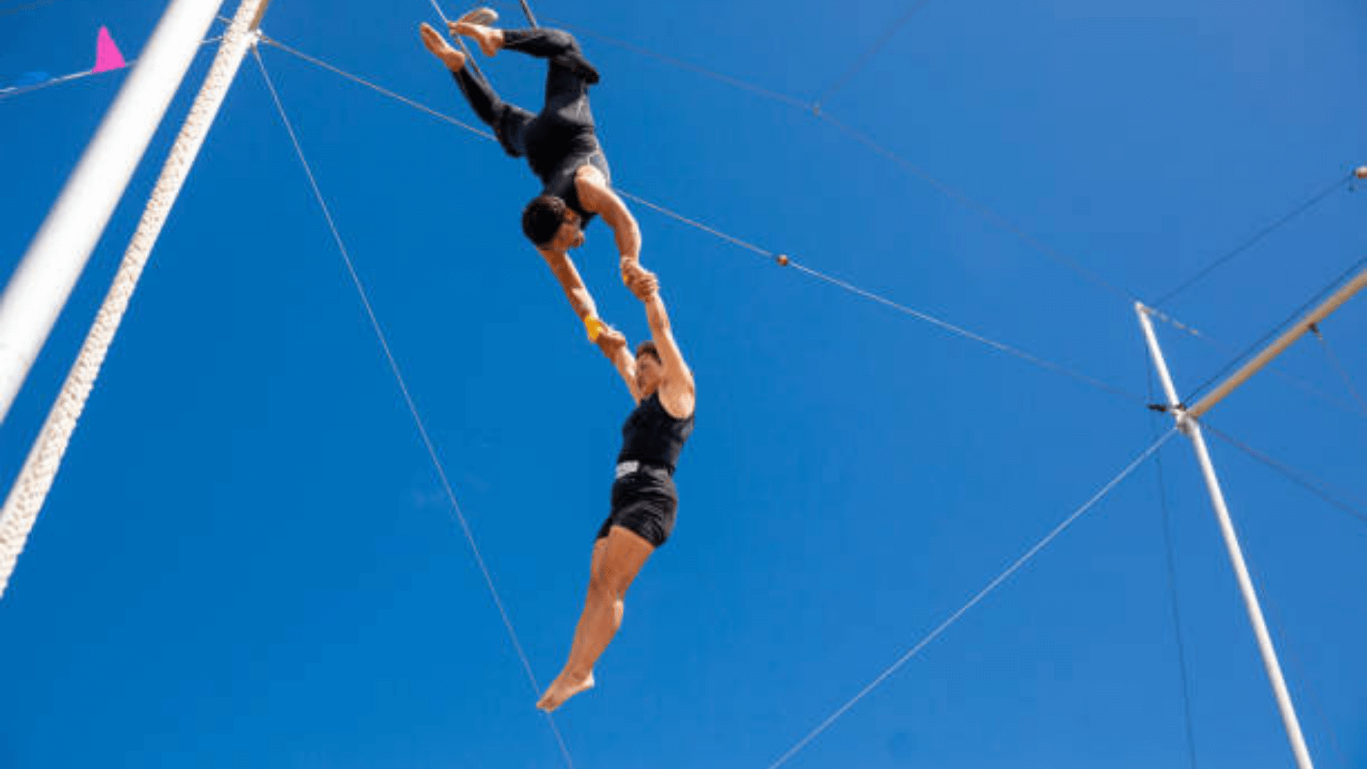 business coaching and HCM technology