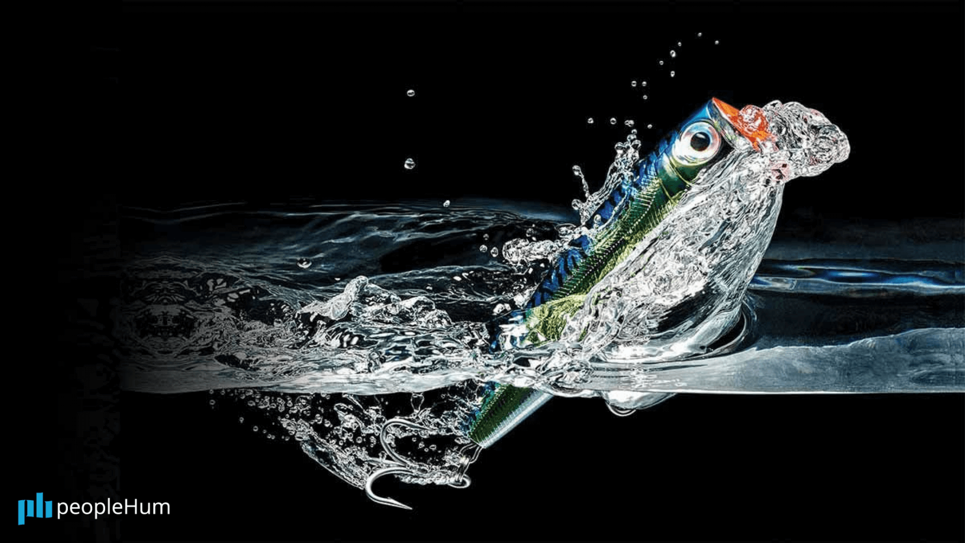 How to recruit right? – Insights from Greg Savage