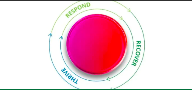 Find your Jogo de Cintura with peoplehum