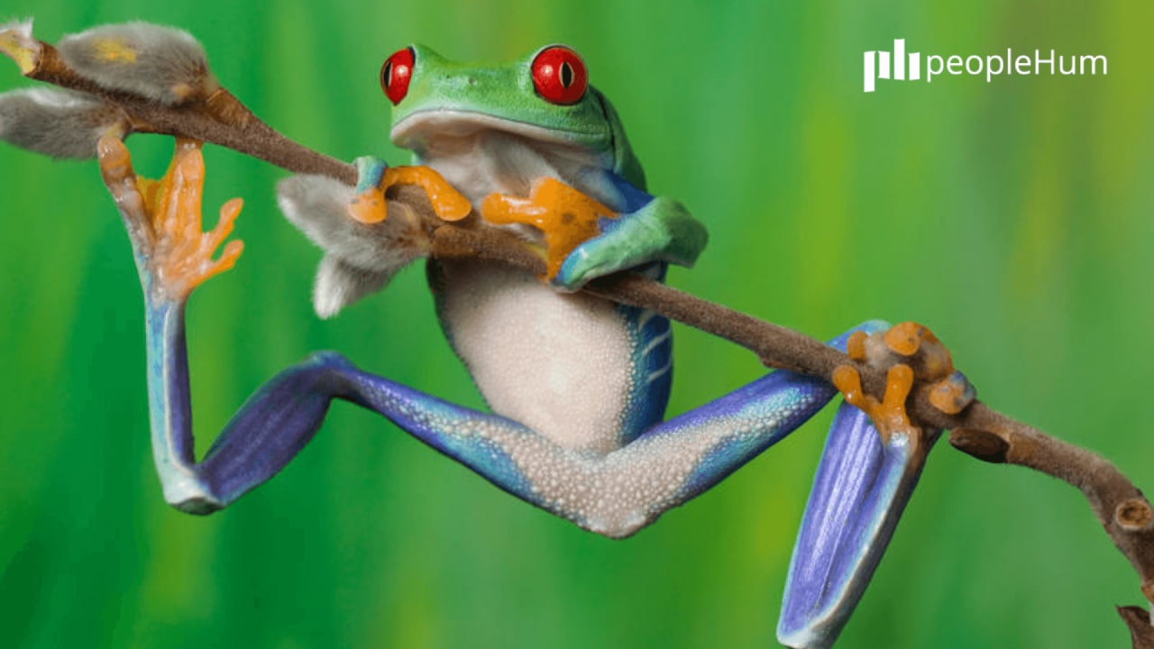 How to ace employee retention