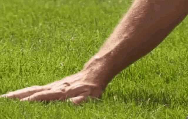 life of an HR manager