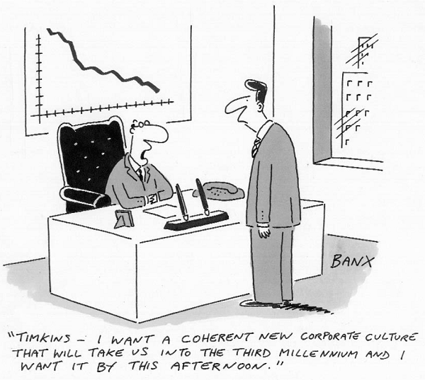 the only HR person in a startup