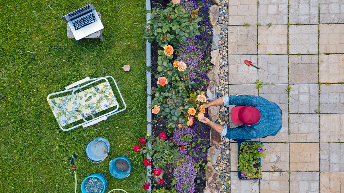 Create an effective remote workspace 