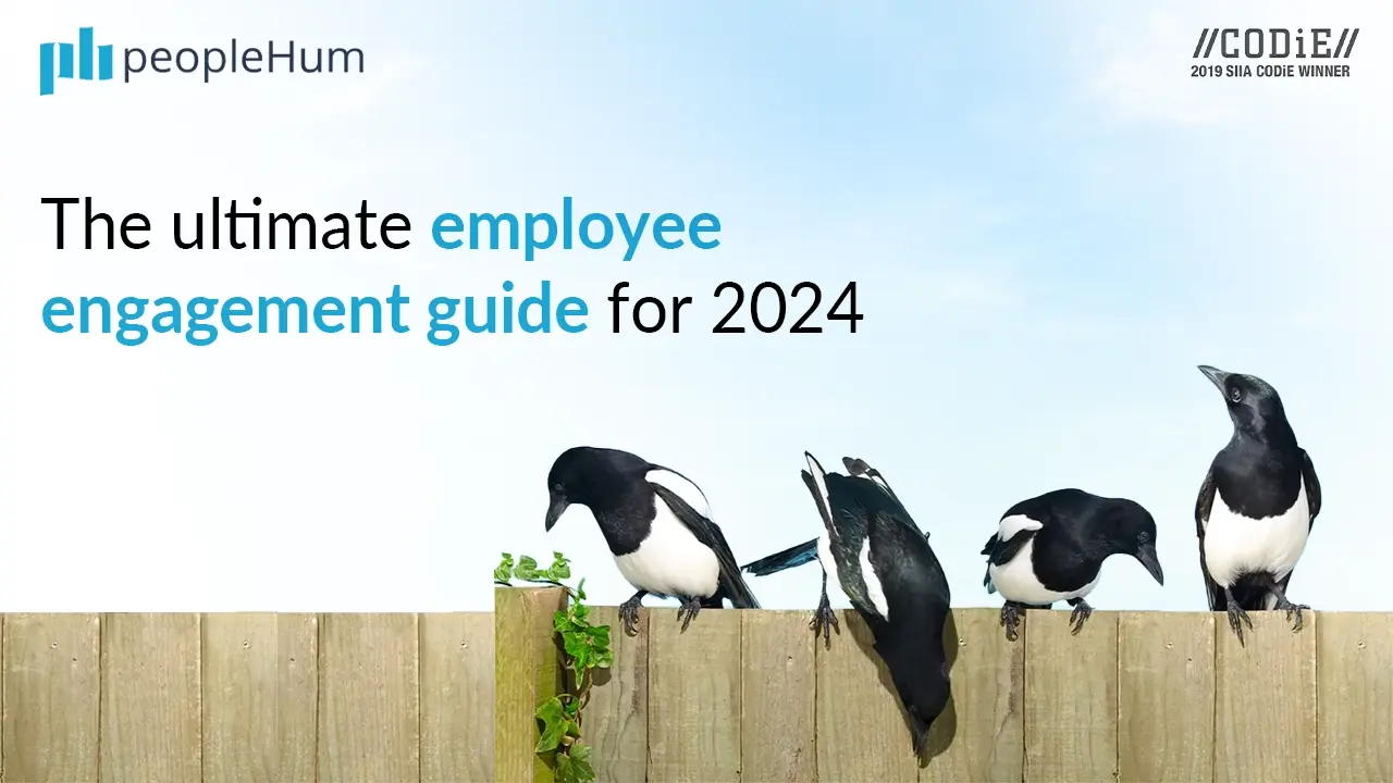 Homepage Blog Card Image