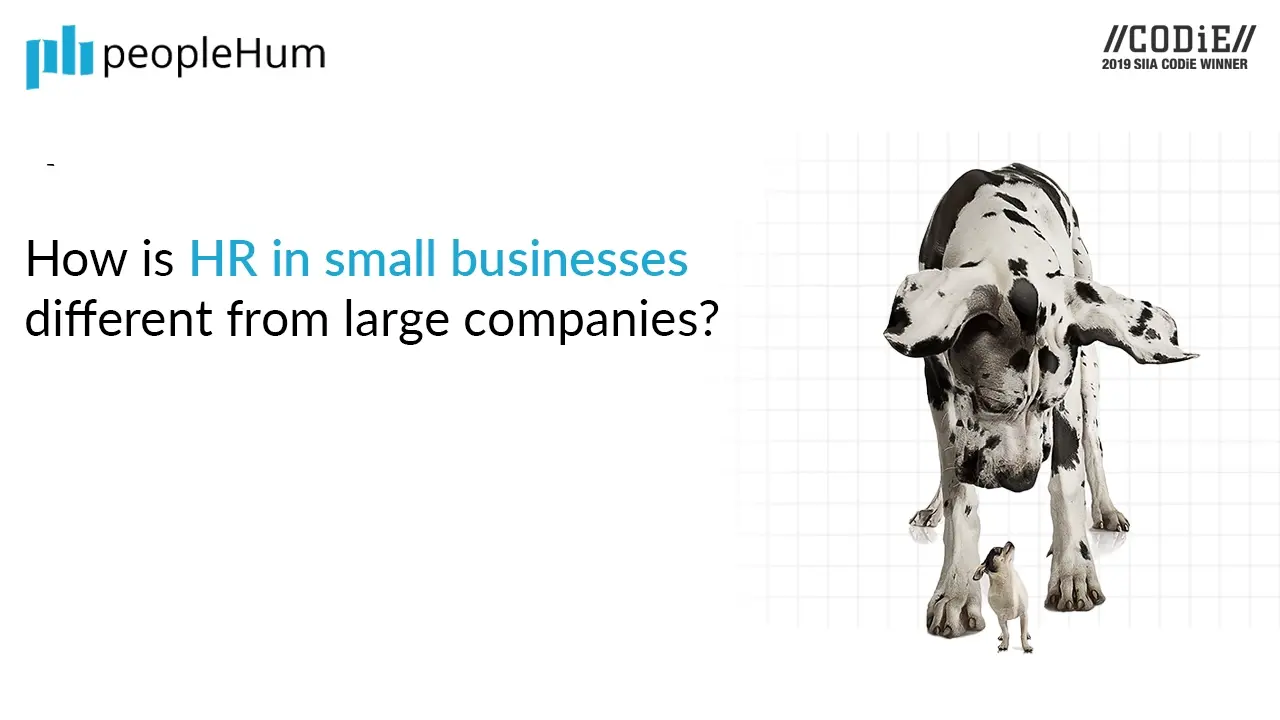 How is HR in small businesses different from large companies?