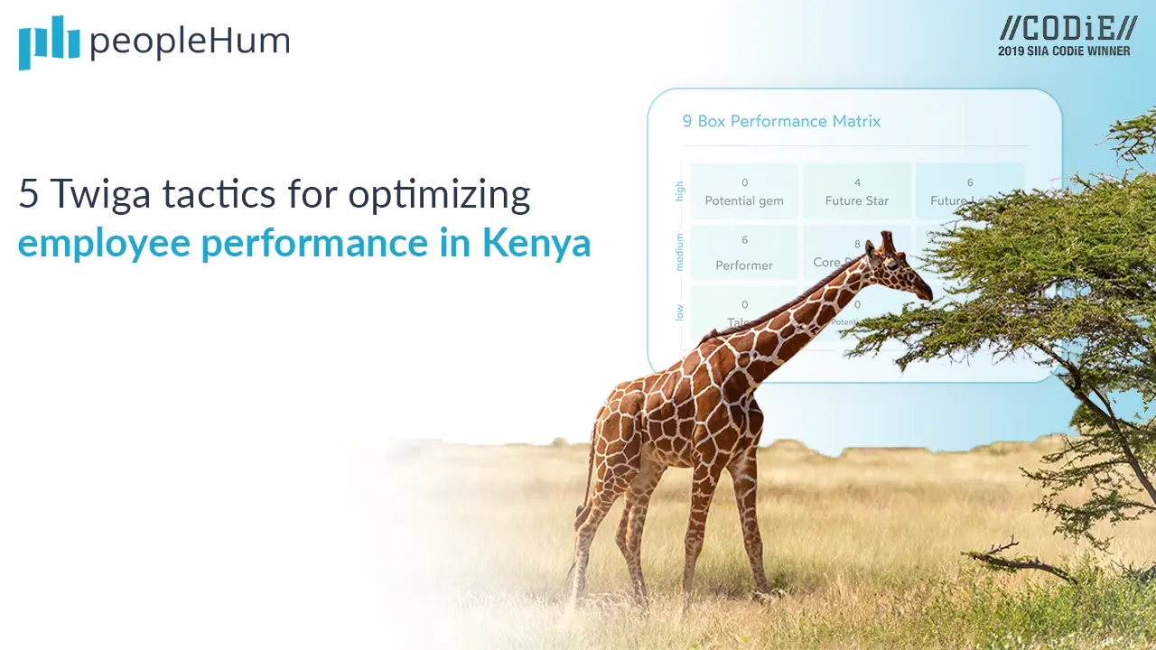 5 Twiga tactics for optimizing employee performance in Kenya