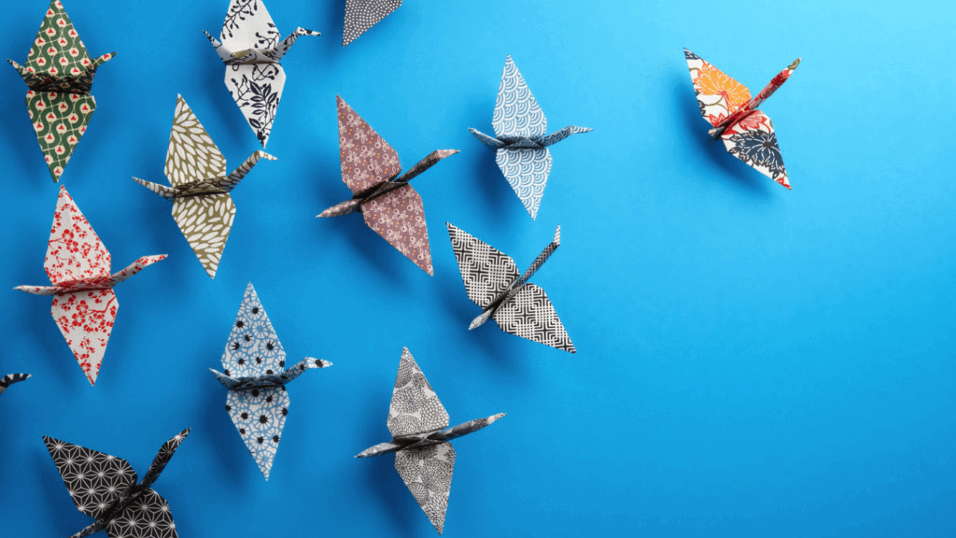 Promoting diversity and maintaining an inclusive culture | peopleHum