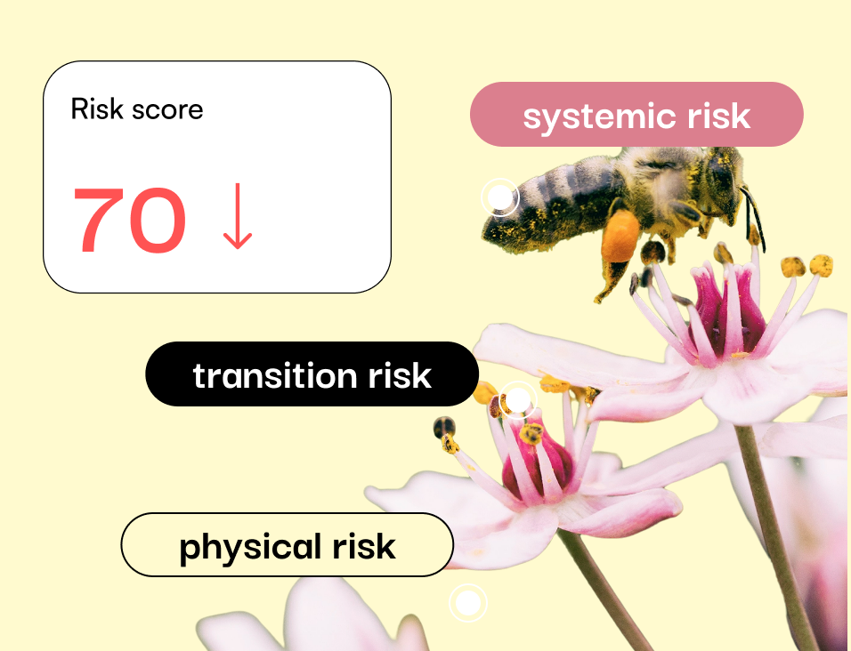 Beyond the basics: A deep dive into transition, physical, and systemic risks in nature risk assessments