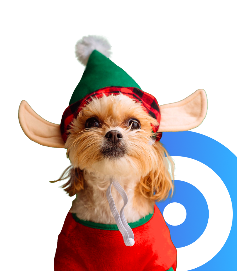 The Annual Shopping Season: How to make the most of Black Friday and the Christmas Shopping Period