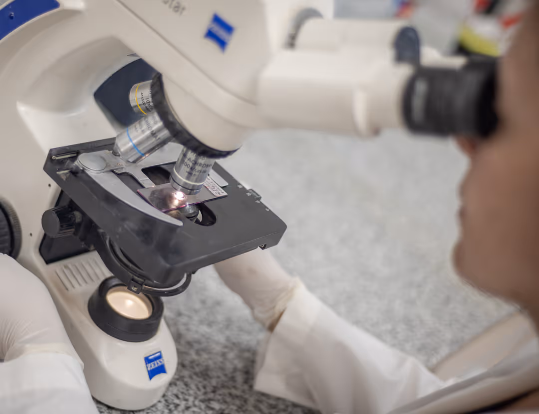 Laboratorio - Sanatorio Tandil