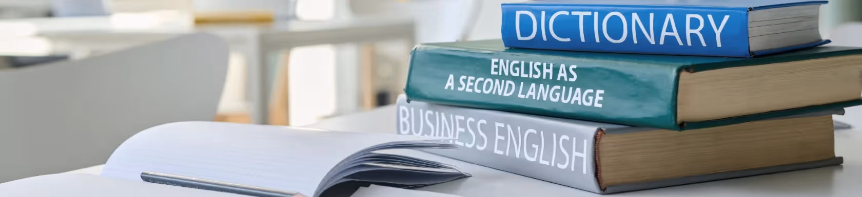 Wie Sie die Usability in Ihrem Webshop mit Leichter Sprache erhöhen | Steireif GmbH