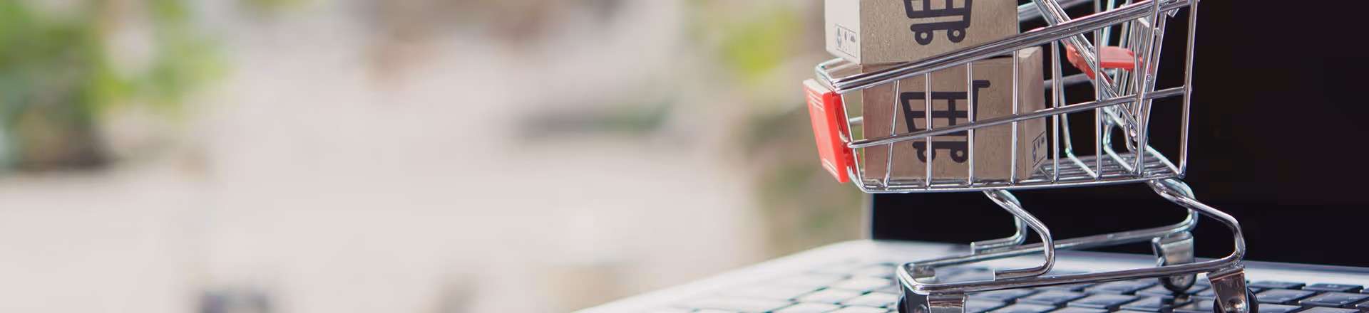 B2C Webshop Systeme – Die relevantesten E-Commerce Lösungen im Überblick | Steireif GmbH