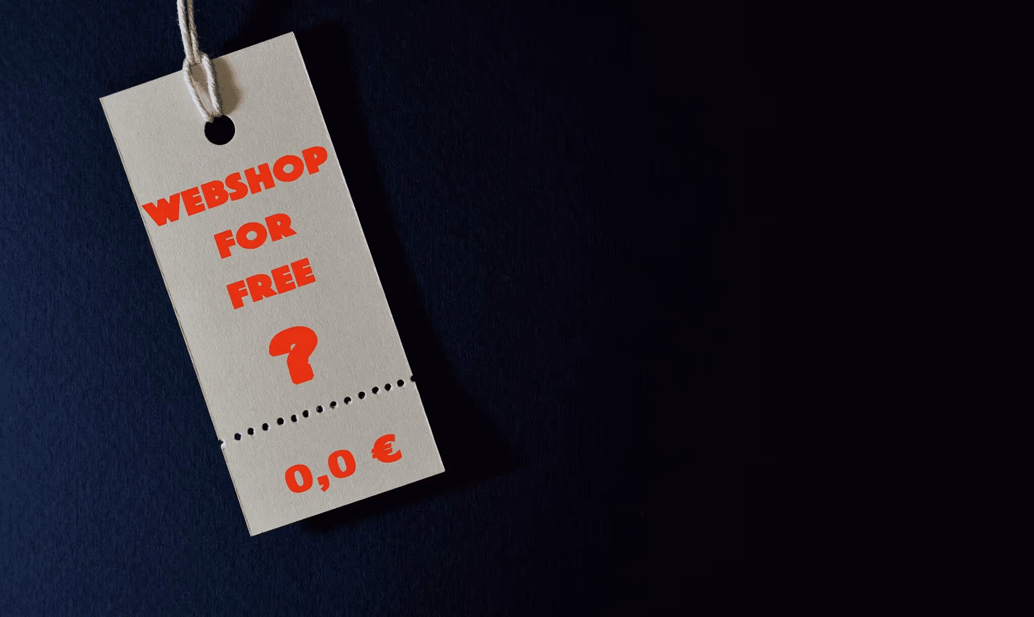 E-Commerce Shopsysteme – kostenlos & frei verfügbar? | Steireif GmbH