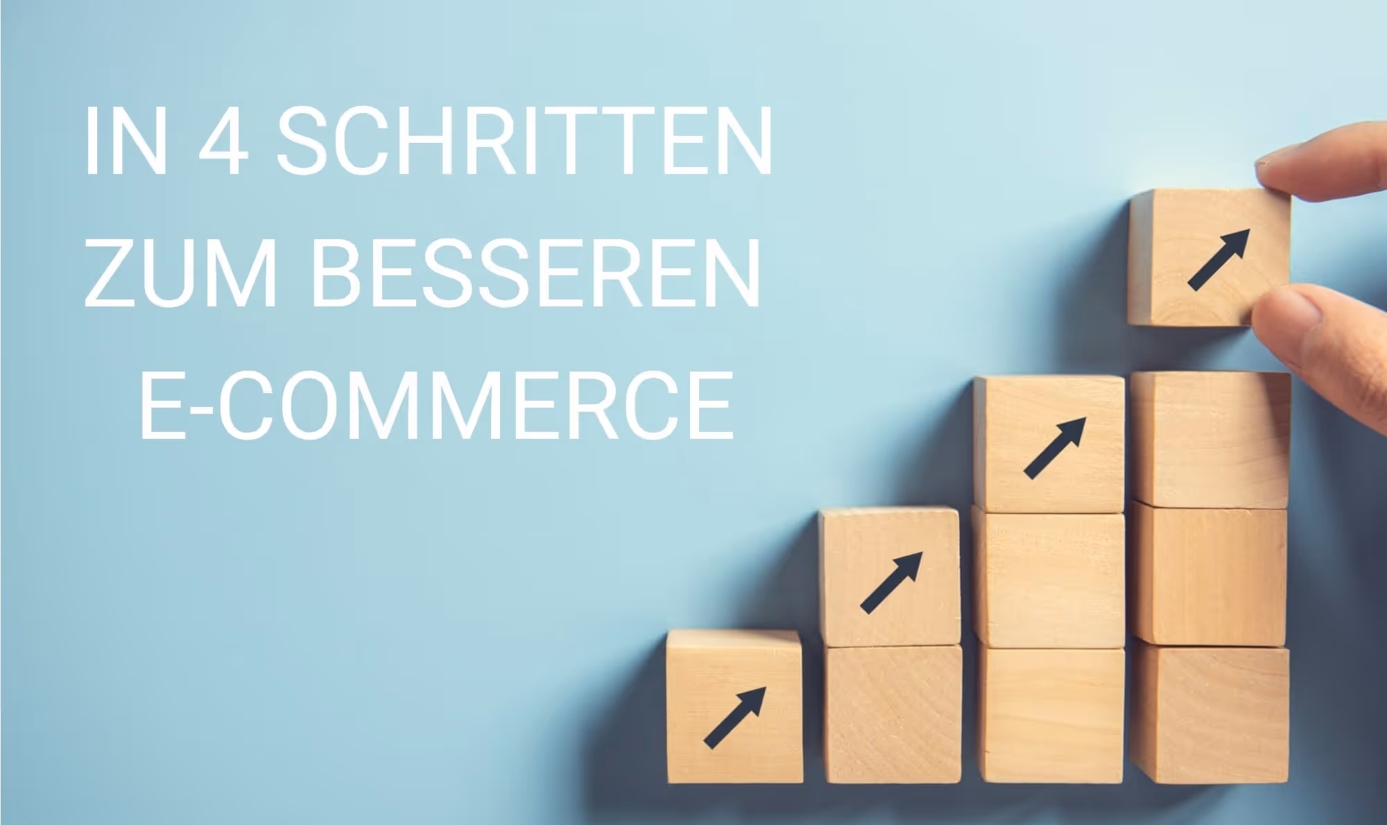 Online-Seminar mit Websale | Steireif GmbH