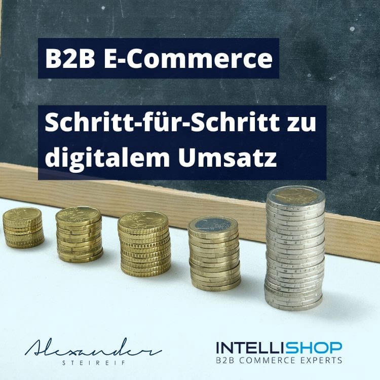 Webinar: B2B E-Commerce Schritt für Schritt zu digitalem Umsatz
