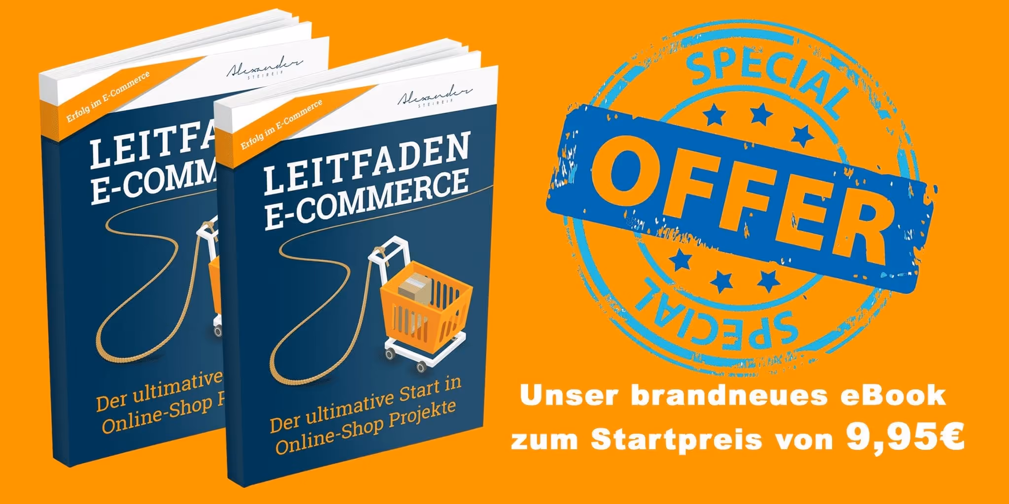 eBook: Leitfaden E-Commerce – der ultimative Start in Online-Shop Projekte | Steireif GmbH