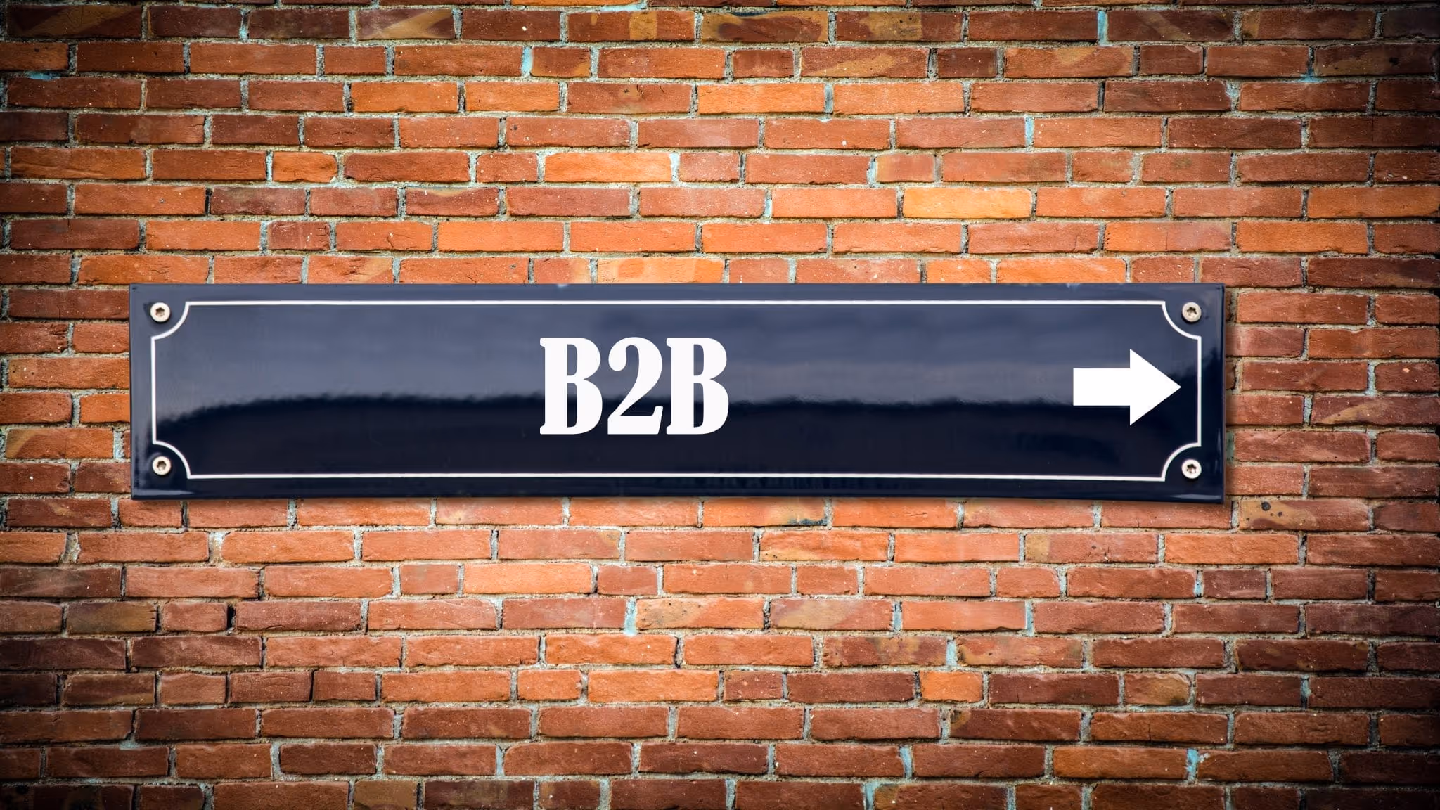 Wachstumsmarkt B2B E-Commerce | Steireif GmbH