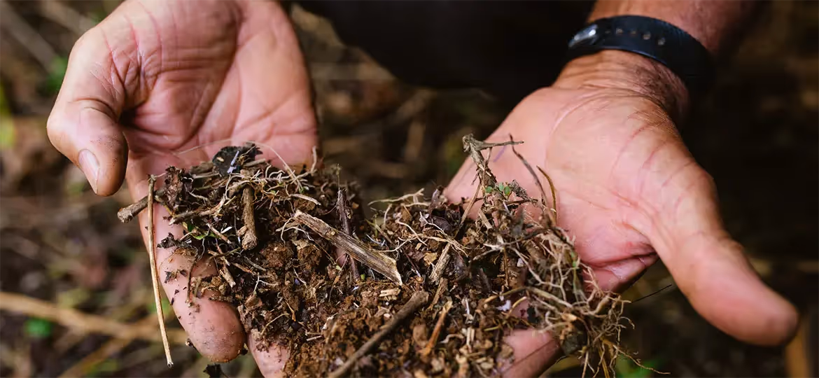 Curu GmbH // E-Commerce Strategie