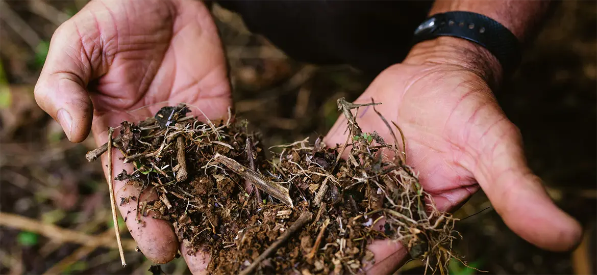 Curu GmbH // E-Commerce Strategie