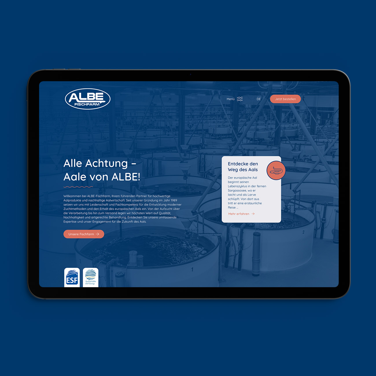 Gallery Single Image