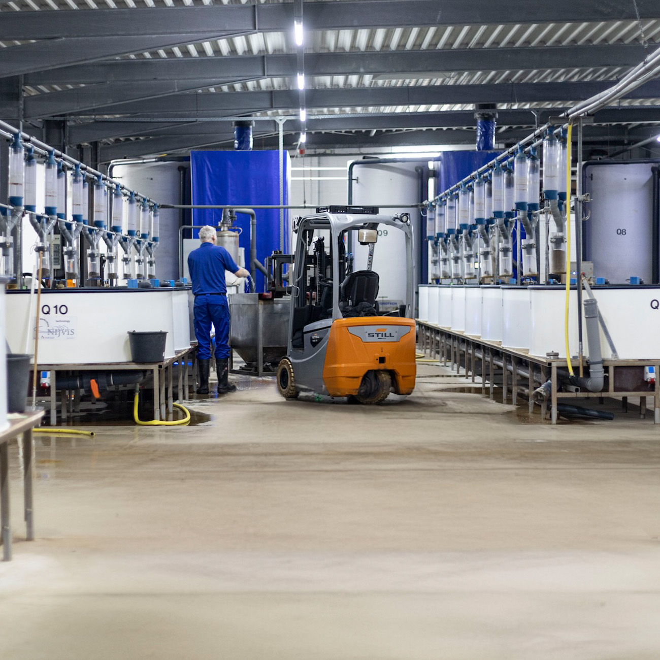 Gallery Single Image