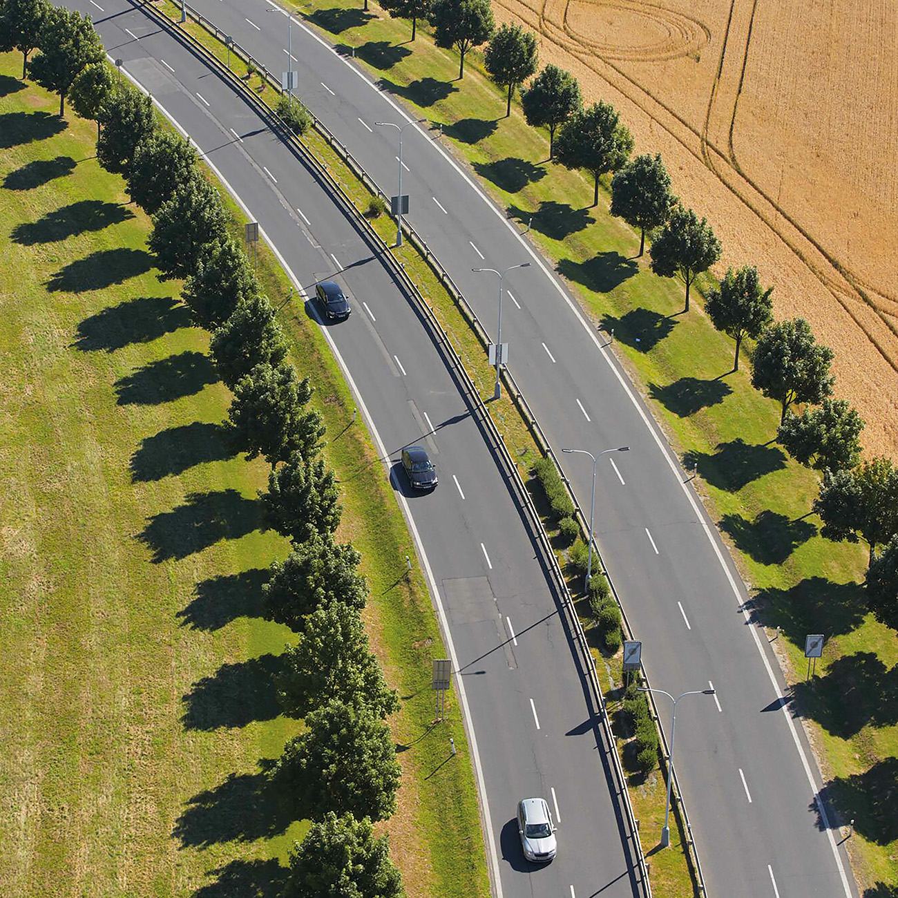 Gallery Single Image