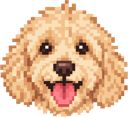 Pixel Winston