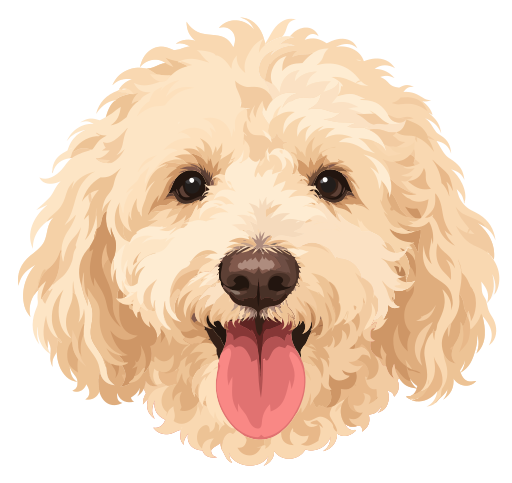 Winston