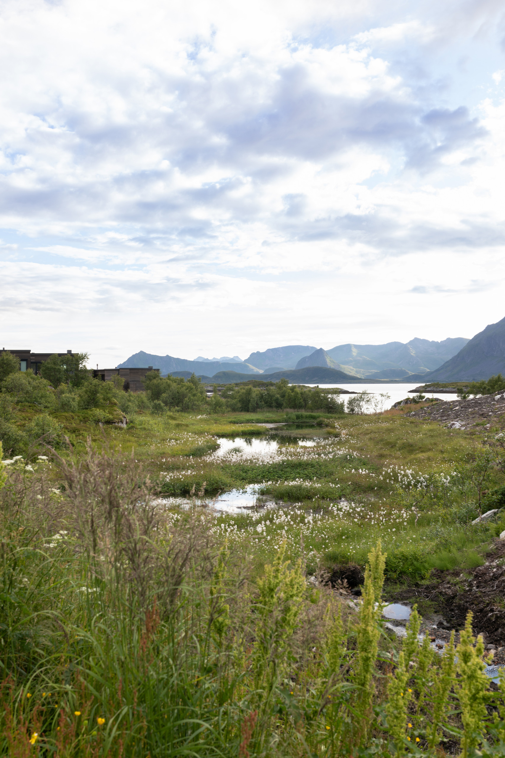 FotoKathrineSrgard1001rom-129A6092