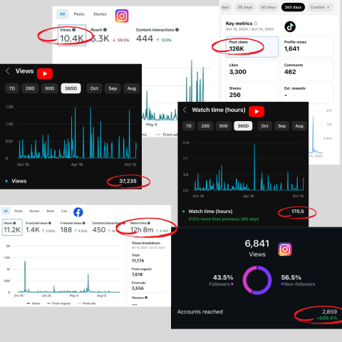 Screenshot of social media analytics for YouTube, Facebook, Instagram, and TikTok.