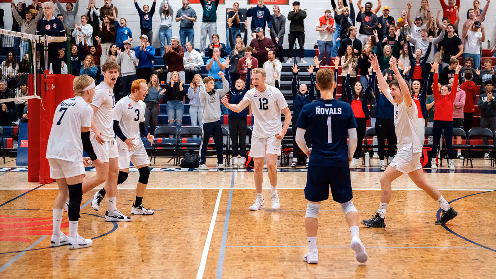 Male volleyball players in white and navy jerseys celebrate a point on an indoor court with enthusiastic cheering crowd in the background.