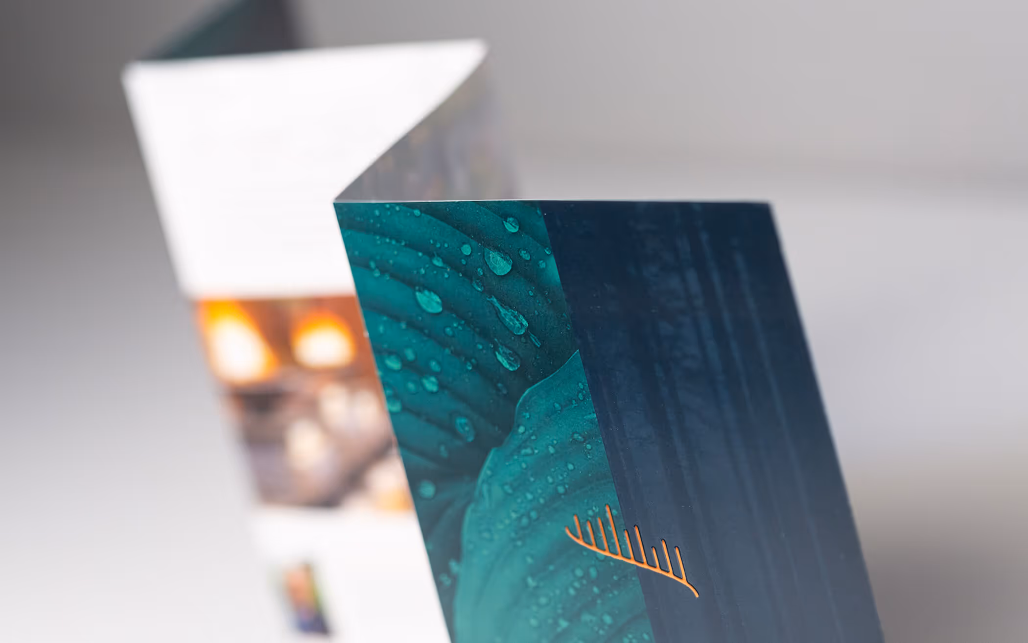 Folded brochure with a close-up image of a green leaf with water droplets and an orange stylized leaf logo on the front.