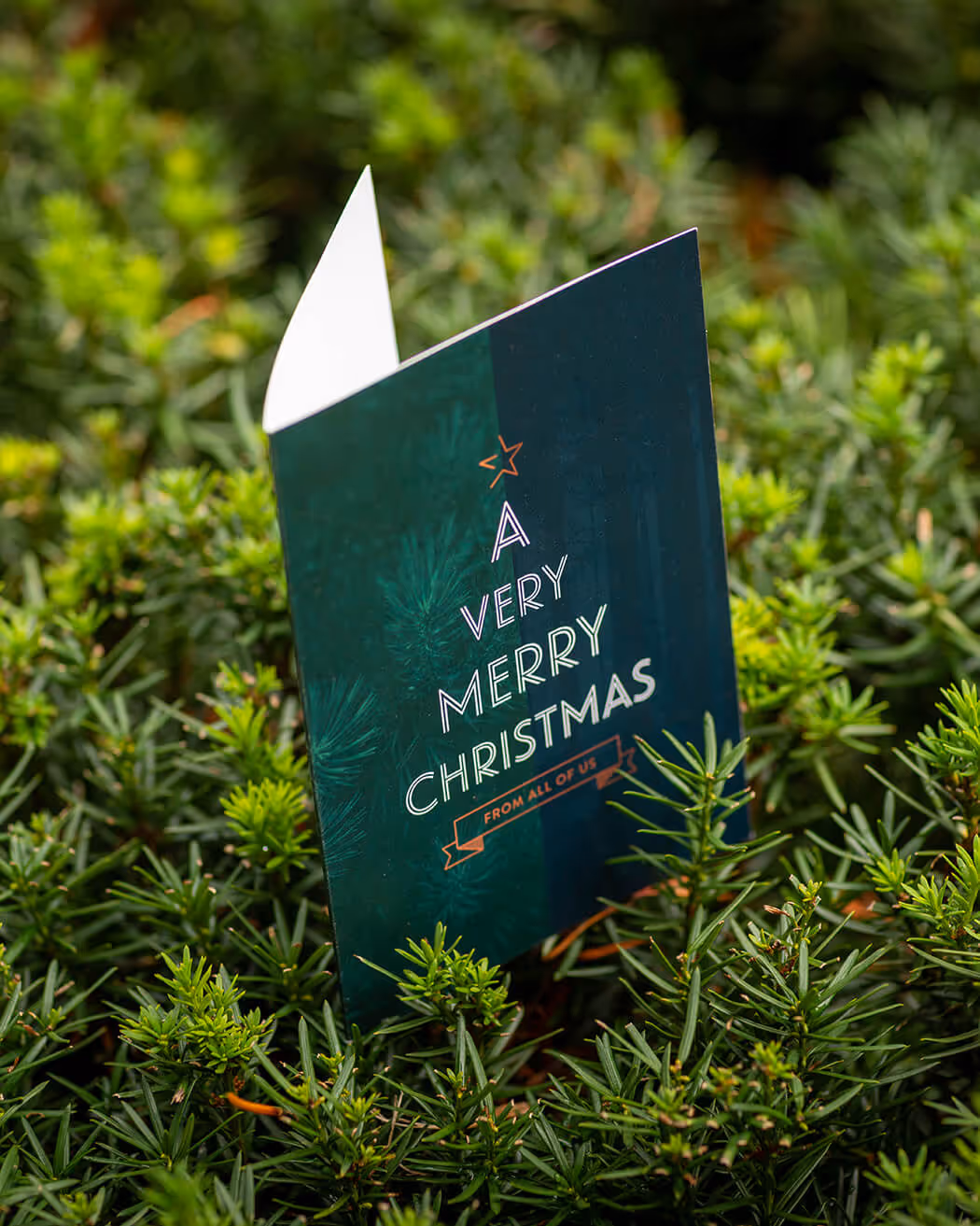 Dark green Christmas card standing open among dense green pine branches with the text 'A Very Merry Christmas from all of us.'